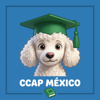 Aula Virtual del CCAP México